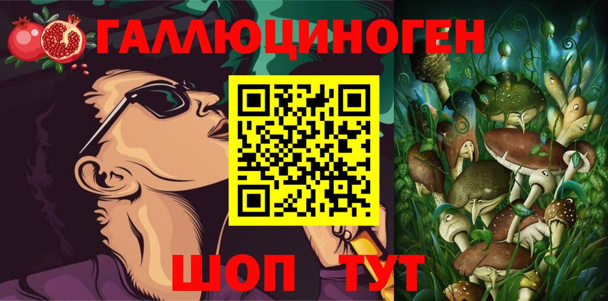 Галлюциногенные грибы GOLDEN TEACHER Нефтекумск